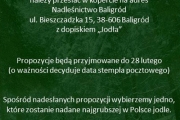 Konkurs na imię dla nawiększej polskiej jodły